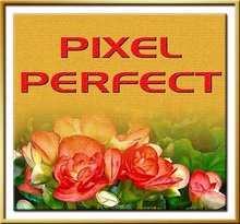The Pixel Perfect Award