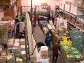 Food bank thieves