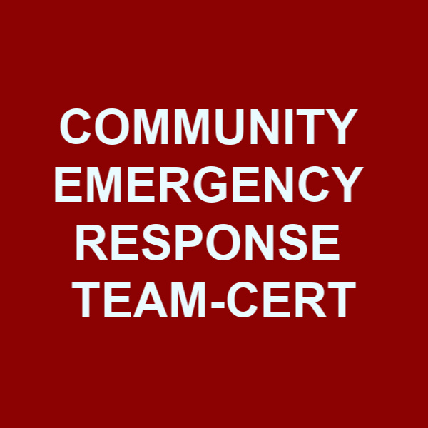Community Emergency Response Team CERT logo