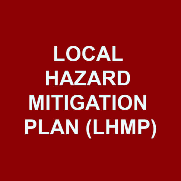 Local Hazard Mitigation Plan Logo