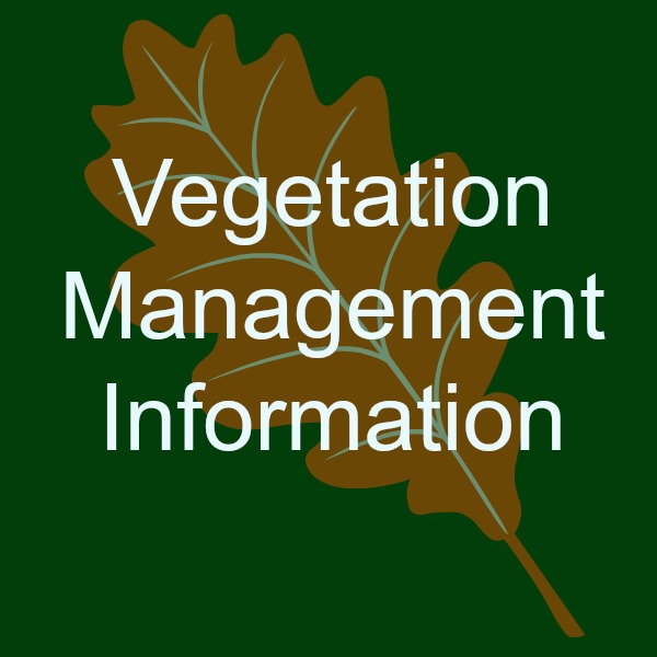 Vegetation Management Information Logo