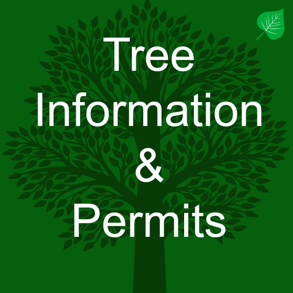 Tree Information and Permit Logo