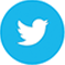 Icon Twitter logo