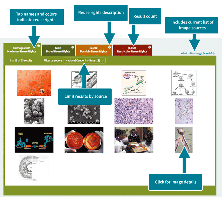 Screenshot of Bio-Image Search tabs and features