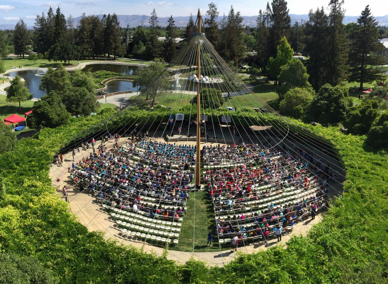 Arbor Day Aerial