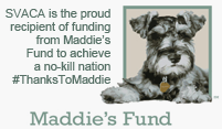 MaddiesFundHome