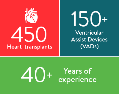 Heart Transplant Infographic