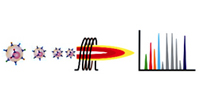 Mass Cytometry