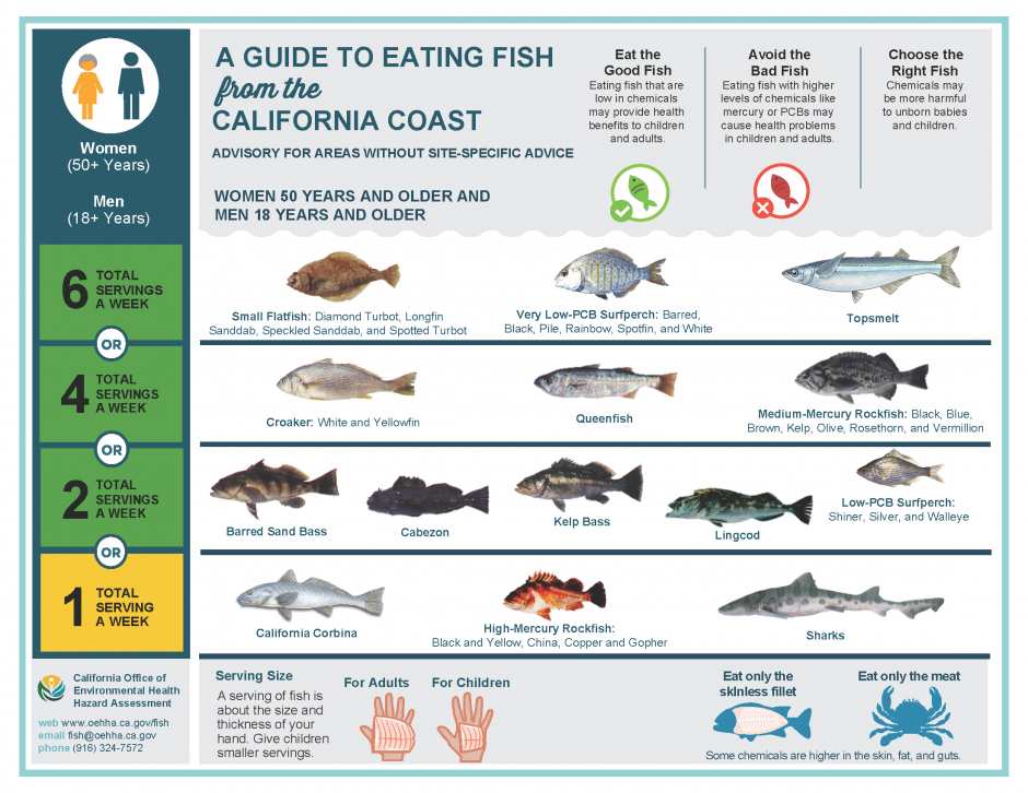 Archived Page: Safe-to-Eat Fish from the San Francisco Bay - San Mateo  County Health